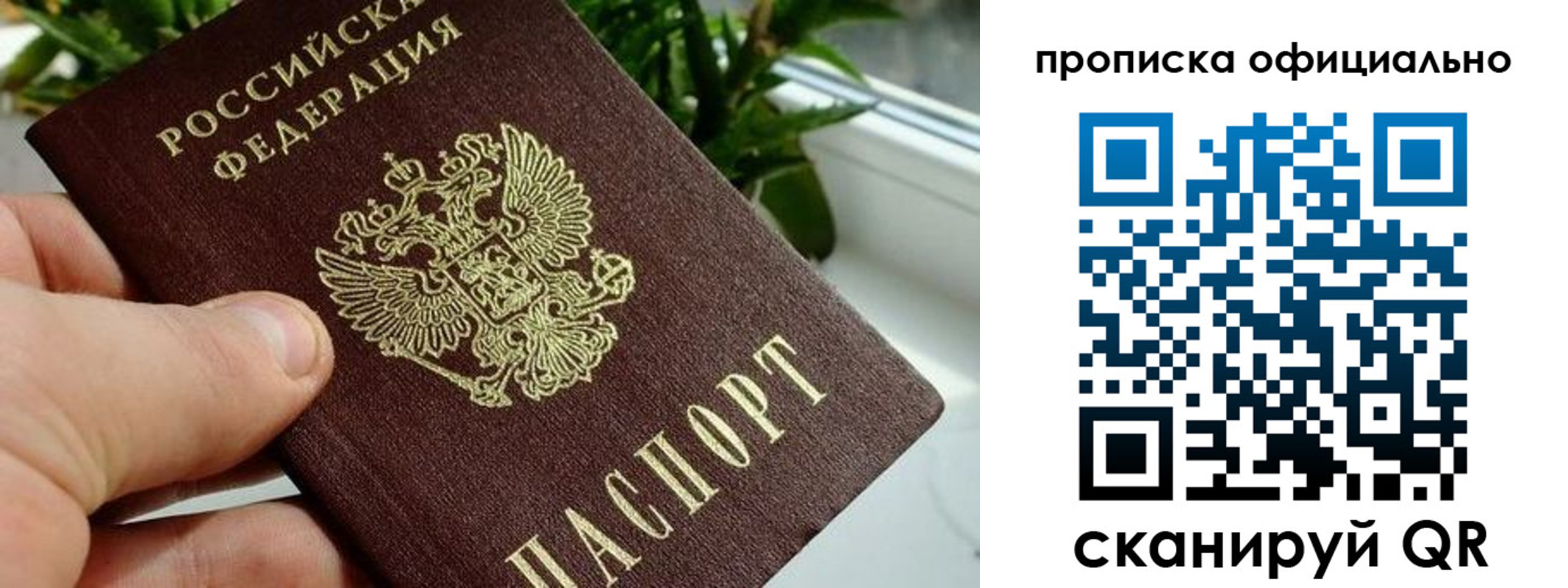 прописка поиск в Костомукше